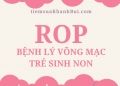 BỆNH LÝ VÕNG MẠC TRẺ SINH NON – ROP