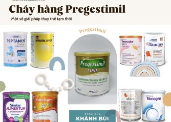 GIẢI PHÁP THAY THẾ TẠM THỜI CHO PREGESTIMIL