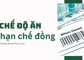 CHẾ ĐỘ ĂN HẠN CHẾ ĐỒNG