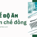 CHẾ ĐỘ ĂN HẠN CHẾ ĐỒNG
