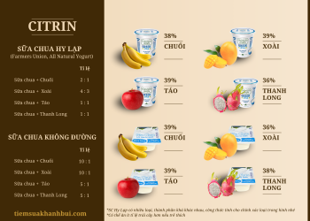 YAOURT MIX TRÁI CÂY CHO BÉ CITRIN