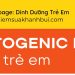 CHẾ ĐỘ ĂN SINH KETONES Ở TRẺ EM – BS. Nguyễn Ngọc Minh Trang