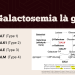 Chế độ ăn cho trẻ Galactosemia – BS Nguyễn Chơn Minh Hiếu