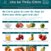 Cách quy đổi trái cây cho bé Thiếu Citrin